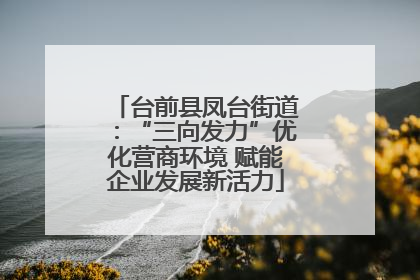 台前县凤台街道：“三向发力”优化营商环境 赋能企业发展新活力