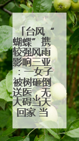 台风“蝴蝶”携较强风雨影响三亚：一女子被树砸倒送医，无大碍当天回家 当地已紧急清障