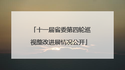 十一届省委第四轮巡视整改进展情况公开
