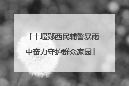 十堰郧西民辅警暴雨中奋力守护群众家园