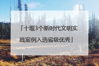 十堰3个新时代文明实践案例入选省级优秀