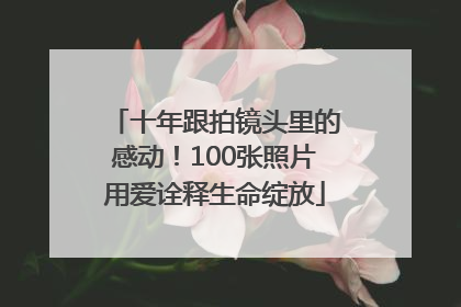 十年跟拍镜头里的感动！100张照片用爱诠释生命绽放