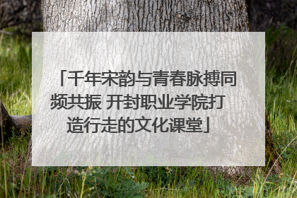 千年宋韵与青春脉搏同频共振 开封职业学院打造行走的文化课堂