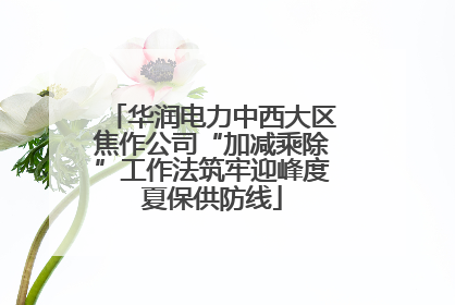 华润电力中西大区焦作公司“加减乘除”工作法筑牢迎峰度夏保供防线
