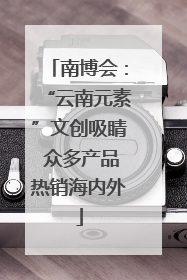 南博会：“云南元素”文创吸睛 众多产品热销海内外