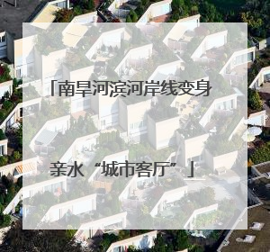 南旱河滨河岸线变身亲水“城市客厅”