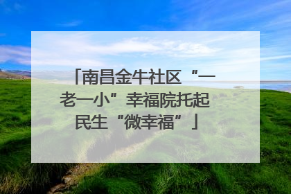 南昌金牛社区“一老一小”幸福院托起民生“微幸福”