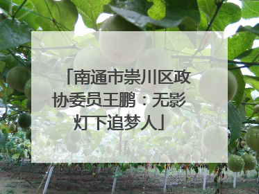 南通市崇川区政协委员王鹏：无影灯下追梦人