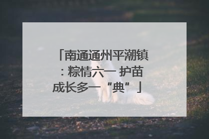 南通通州平潮镇：粽情六一 护苗成长多一“典”