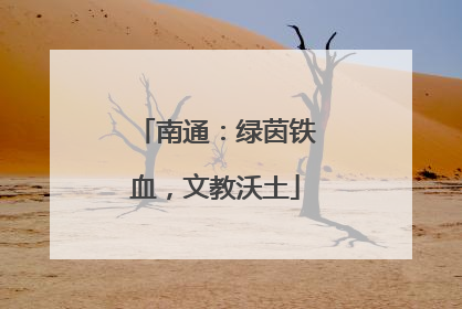 南通：绿茵铁血，文教沃土