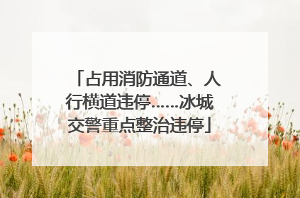 占用消防通道、人行横道违停……冰城交警重点整治违停