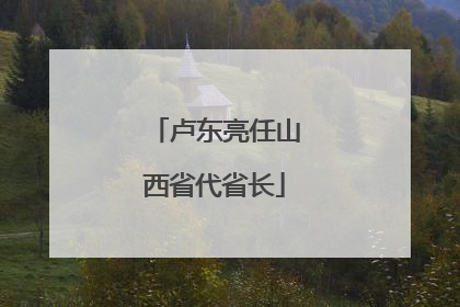 卢东亮任山西省代省长