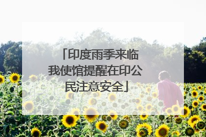 印度雨季来临 我使馆提醒在印公民注意安全