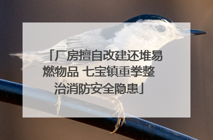 厂房擅自改建还堆易燃物品 七宝镇重拳整治消防安全隐患