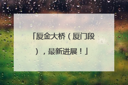 厦金大桥（厦门段），最新进展！