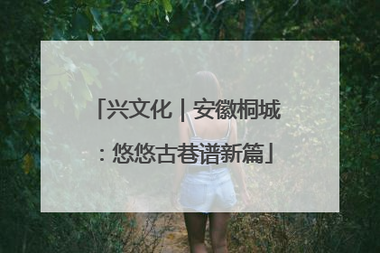 兴文化｜安徽桐城：悠悠古巷谱新篇