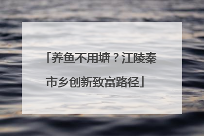 养鱼不用塘？江陵秦市乡创新致富路径