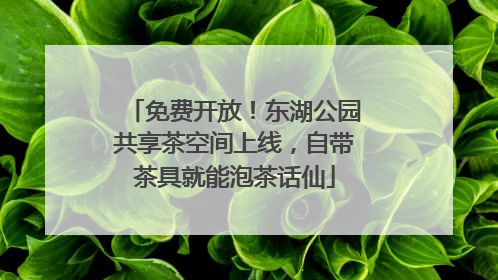 免费开放！东湖公园共享茶空间上线，自带茶具就能泡茶话仙