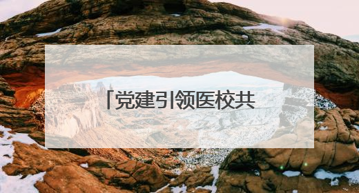 党建引领医校共建共筑儿童青少年心理健康防线
