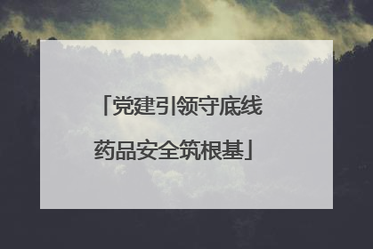 党建引领守底线 药品安全筑根基