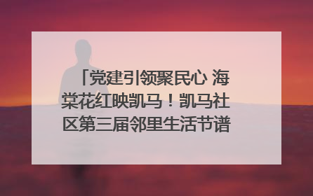 党建引领聚民心 海棠花红映凯马！凯马社区第三届邻里生活节谱写幸福新篇章