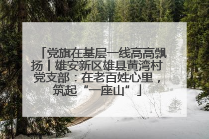 党旗在基层一线高高飘扬丨雄安新区雄县黄湾村党支部：在老百姓心里，筑起“一座山”