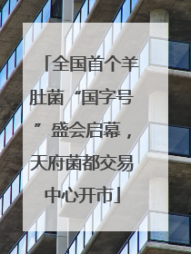 全国首个羊肚菌“国字号”盛会启幕，天府菌都交易中心开市