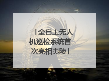 全自主无人机巡检系统首次亮相夷陵