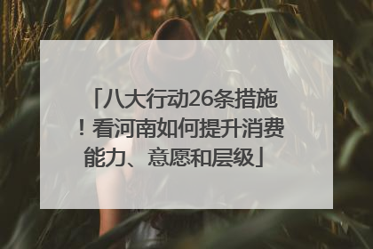 八大行动26条措施！看河南如何提升消费能力、意愿和层级