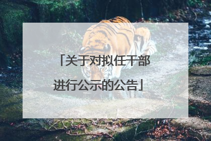 关于对拟任干部进行公示的公告