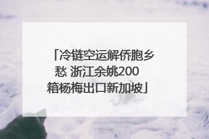 冷链空运解侨胞乡愁 浙江余姚200箱杨梅出口新加坡