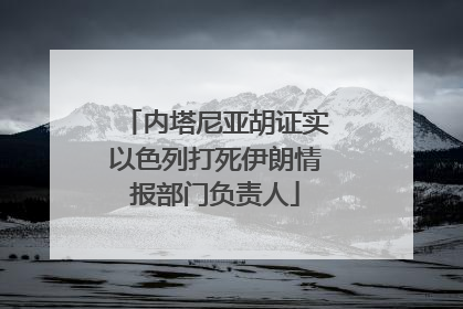 内塔尼亚胡证实以色列打死伊朗情报部门负责人