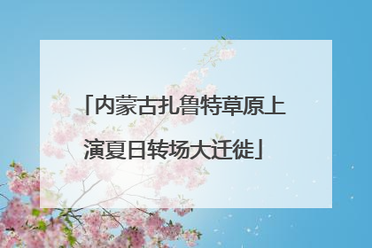 内蒙古扎鲁特草原上演夏日转场大迁徙