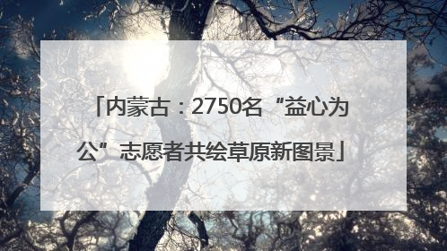 内蒙古：2750名“益心为公”志愿者共绘草原新图景