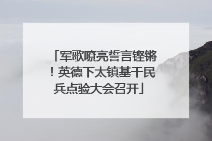 军歌嘹亮誓言铿锵！英德下太镇基干民兵点验大会召开