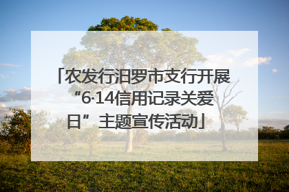 农发行汨罗市支行开展“6·14信用记录关爱日”主题宣传活动