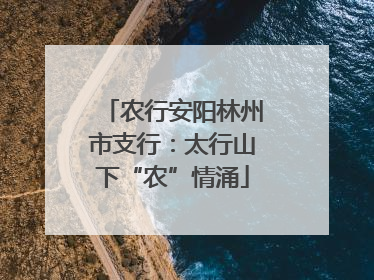 农行安阳林州市支行：太行山下“农”情涌
