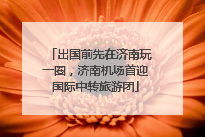 出国前先在济南玩一圈，济南机场首迎国际中转旅游团