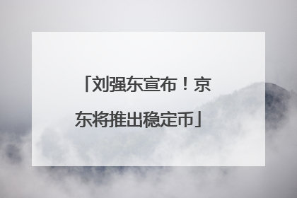 刘强东宣布！京东将推出稳定币