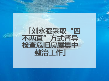 刘永强采取“四不两直”方式督导检查危旧房屋集中整治工作