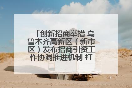 创新招商举措 乌鲁木齐高新区（新市区）发布招商引资工作协调推进机制 打造投资发展新高地