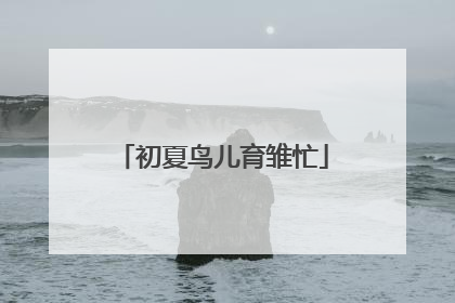 初夏鸟儿育雏忙