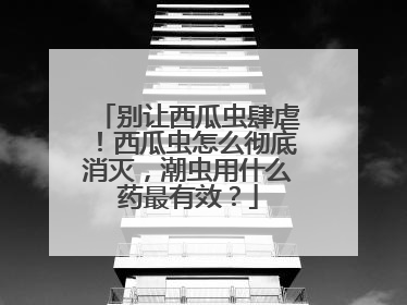 别让西瓜虫肆虐！西瓜虫怎么彻底消灭，潮虫用什么药最有效？