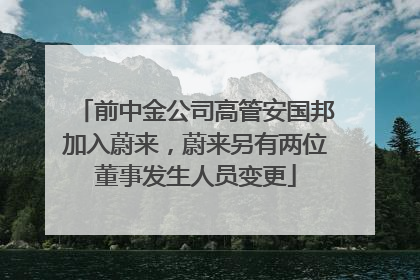 前中金公司高管安国邦加入蔚来，蔚来另有两位董事发生人员变更