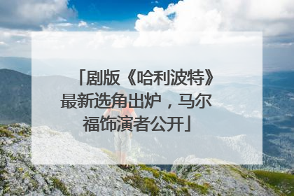 剧版《哈利波特》最新选角出炉，马尔福饰演者公开