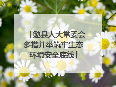 勉县人大常委会多措并举筑牢生态环境安全底线
