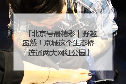 北京号最精彩｜野趣盎然！京城这个生态桥连通两大网红公园
