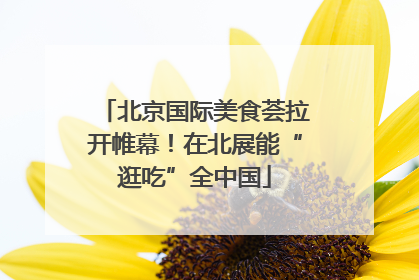 北京国际美食荟拉开帷幕！在北展能“逛吃”全中国