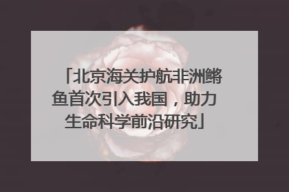 北京海关护航非洲鳉鱼首次引入我国，助力生命科学前沿研究
