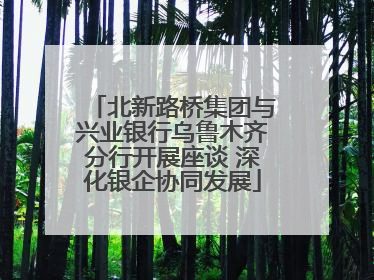 北新路桥集团与兴业银行乌鲁木齐分行开展座谈 深化银企协同发展